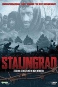 Фильм Сталинград (мини-сериал) : актеры, трейлер и описание.