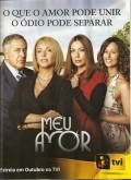 Фильм Моя любовь  (сериал 2009 - ...) : актеры, трейлер и описание.