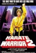 Фильм Золотое кимоно воина 2 : актеры, трейлер и описание.