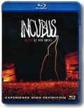 Фильм Incubus Alive at Red Rocks : актеры, трейлер и описание.