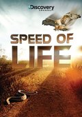 Фильм Discovery: Скорость жизни (мини-сериал) : актеры, трейлер и описание.