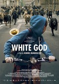 Фильм Белый Бог : актеры, трейлер и описание.