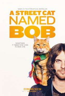 Фильм Уличный кот по кличке Боб : актеры, трейлер и описание.