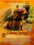 Фильм Lithium Springs : актеры, трейлер и описание.