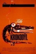 Фильм Катя и крокодил : актеры, трейлер и описание.