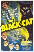 Фильм Черная кошка : актеры, трейлер и описание.