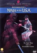 Фильм Ниндзя в США : актеры, трейлер и описание.