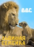 Фильм BBC: Львиная Семейка : актеры, трейлер и описание.
