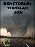 Фильм Неистовый торнадо 2011 : актеры, трейлер и описание.