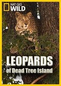 Фильм Леопарды дельты Окаванго : актеры, трейлер и описание.