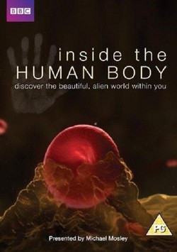 Фильм Внутри человеческого тела : актеры, трейлер и описание.