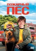 Фильм Пожарный пес : актеры, трейлер и описание.