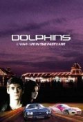 Фильм Дельфины : актеры, трейлер и описание.