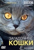 Фильм BBC: Загадочные кошки : актеры, трейлер и описание.