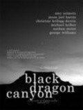 Фильм Black Dragon Canyon : актеры, трейлер и описание.