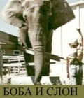 Фильм Боба и слон : актеры, трейлер и описание.