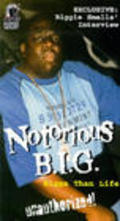Фильм Notorious B.I.G.: Bigga Than Life : актеры, трейлер и описание.