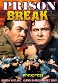 Фильм Prison Break : актеры, трейлер и описание.