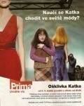 Фильм Гадкая Катя  (сериал 2008-2009) : актеры, трейлер и описание.