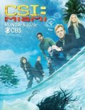 Фильм C.S.I.: Майами (сериал 2002 - 2012) : актеры, трейлер и описание.