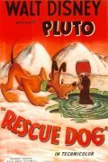 Фильм Rescue Dog : актеры, трейлер и описание.