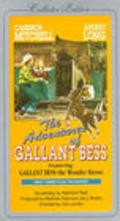 Фильм Adventures of Gallant Bess : актеры, трейлер и описание.